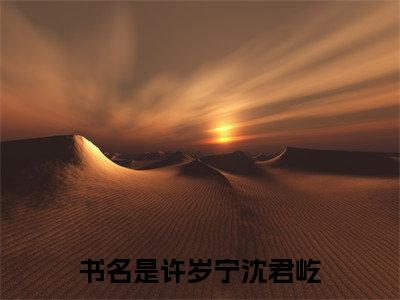 许岁宁沈君屹小说全文免费阅读 许岁宁沈君屹最新章节