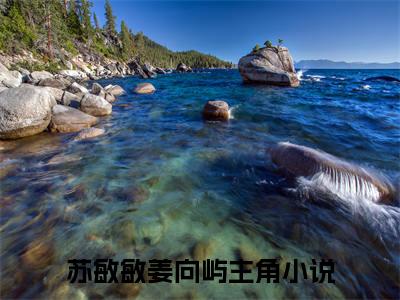 苏敏敏姜向屿小说免费阅读全文在线阅读，苏敏敏姜向屿的小说在线阅读全文