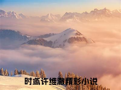时鸢许维澈书名是《时鸢许维澈》在线赏析_时鸢许维澈txt小说阅读_时鸢许维澈在线阅读笔趣阁