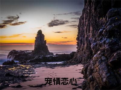 宠情恋心（凌棠谢夜深）小说免费下载全本-宠情恋心（凌棠谢夜深完整版）免费阅读大结局