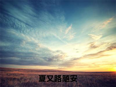 夏又路随安（夏又路随安）全文免费阅读无弹窗大结局_夏又路随安在线阅读（夏又路随安）