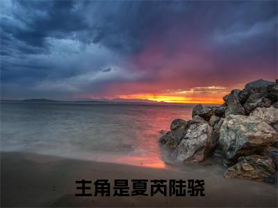 夏芮陆骁近新热推小说-夏芮陆骁完整版在线阅读