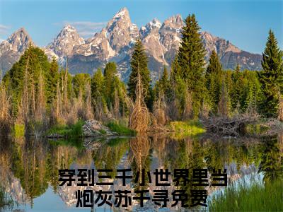 穿到三千小世界里当炮灰苏千寻（穿到三千小世界里当炮灰苏千寻）全文免费阅读无弹窗大结局_（穿到三千小世界里当炮灰苏千寻）最新章节列表笔趣阁