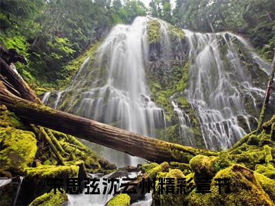 （宋思弦沈云州）国舅心头朱砂痣全文免费阅读无弹窗大结局_宋思弦沈云州（国舅心头朱砂痣）小说结局免费阅读