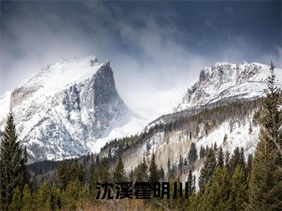 沈溪霍明川热门小说在哪免费看-小说（沈溪霍明川）完整版全文在线赏析