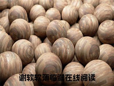 （谢软软薄临渊）全文无弹窗阅读-小说主角叫什么谢软软薄临渊