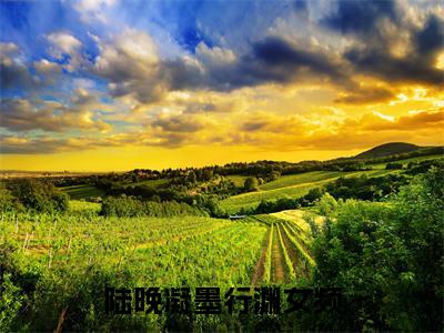 陆晚凝墨行渊小说叫什么名字（陆晚凝墨行渊）完整版大结局-陆晚凝墨行渊小说在线阅读