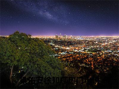 （梁佑安徐知柳）小短篇小说免费阅读-强推梁佑安徐知柳主角的小说