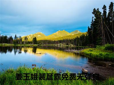 主角为姜玉娥裴彦霖的言情小说讲的是什么-（姜玉娥裴彦霖）小说在线阅读