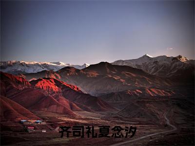齐司礼夏念汐小说全文免费阅读无弹窗-齐司礼夏念汐全章节阅读