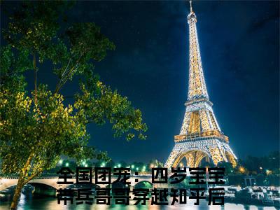 全国团宠：四岁宝宝带兵哥哥穿越阅读无弹窗大结局_（沐晨阅读无弹窗）最新章节列表_笔趣阁