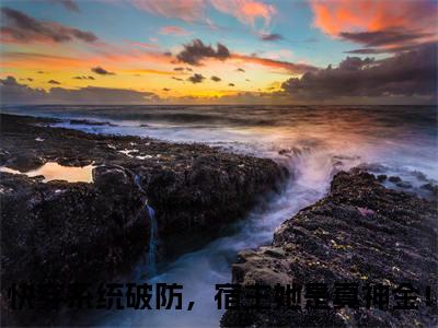 时忆（快穿系统破防，宿主她是真神金！）全文免费阅读无弹窗_时忆小说免费阅读_笔趣阁