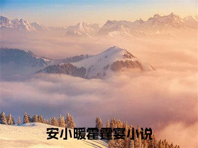 安小暖霍霆宴小说全文免费阅读(安小暖霍霆宴)全文免费阅读无弹窗大结局_(安小暖霍霆宴小说免费阅读)安小暖霍霆宴无弹窗最新章节列表_笔趣阁（安小暖霍霆宴）