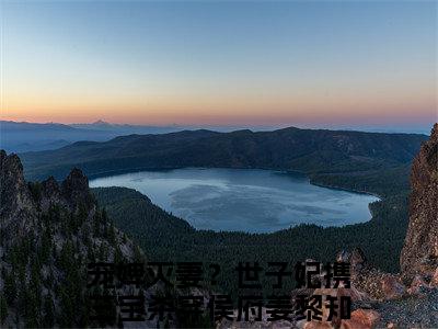 小说全文免费阅读无弹窗大结局_（宠婢灭妻？世子妃携三宝杀穿侯府姜黎）全文在线阅读