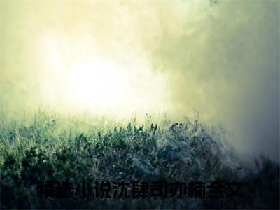 热门小说推荐沈肆司亦楠-沈肆司亦楠全文免费大结局