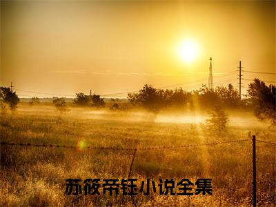 苏筱帝钰老书虫推荐小说 苏筱帝钰热门小说最新章节阅读