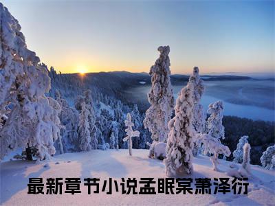 孟眠棠萧泽衍（孟眠棠萧泽衍全文免费阅读）小说最新章节_孟眠棠萧泽衍全文免费阅读最新章节列表