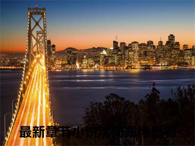 沈倚霜傅墨卿全文免费阅读无弹窗大结局-沈倚霜傅墨卿最新章节免费阅读