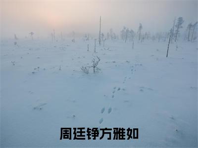 周廷铮方雅如小说最新章节阅读 周廷铮方雅如全文免费阅读最新章节大结局