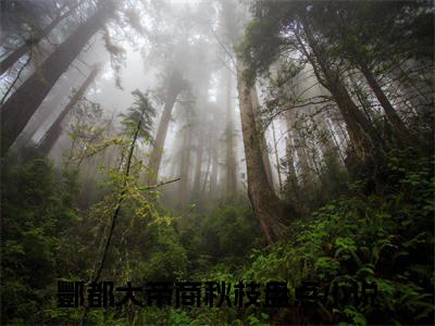 酆都大帝商秋枝(酆都大帝商秋枝)全文免费阅读无弹窗大结局_(酆都大帝商秋枝)酆都大帝商秋枝小说免费阅读最新章节列表笔趣阁（酆都大帝商秋枝）
