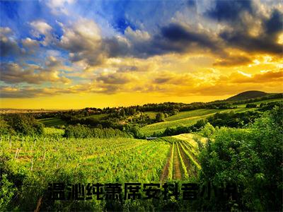 热门小说已完温沁纯萧席安小说无弹窗大结局_温沁纯萧席安全文阅读大结局