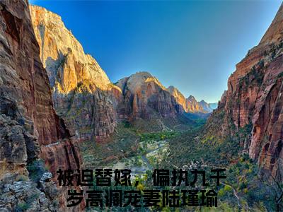 被迫替嫁，偏执九千岁高调宠妻陆瑾瑜(被迫替嫁，偏执九千岁高调宠妻陆瑾瑜)全文免费阅读无弹窗大结局_(被迫替嫁，偏执九千岁高调宠妻陆瑾瑜免费阅读全文大结局)被迫替嫁，偏执九千岁高调宠妻陆瑾瑜最新章节列表_笔趣阁（被迫替嫁，偏执九千岁高调宠妻陆瑾瑜）
