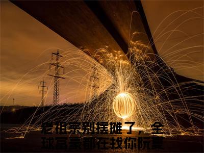 老祖宗别摆摊了，全球富豪都在找你阮夏是哪部小说的主角-《老祖宗别摆摊了，全球富豪都在找你阮夏》全文无弹窗完整版阅读