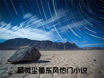 顾微尘秦东风免费阅读无弹窗大结局-顾微尘秦东风（顾微尘秦东风最新全章节大结局）全文阅读