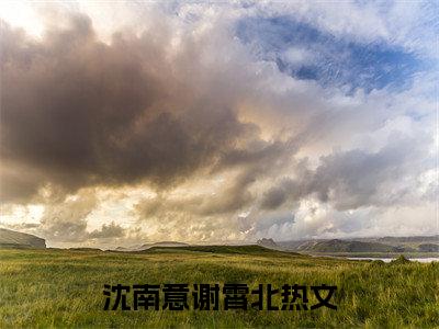 沈南意谢霄北的小说（沈南意谢霄北）全文免费阅读
