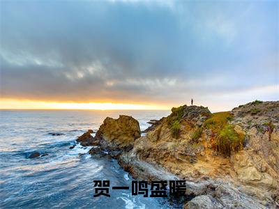 贺一鸣盛暖（贺一鸣盛暖免费小说）全文免费阅读无弹窗大结局_贺一鸣盛暖最新章节列表_笔趣阁（贺一鸣盛暖小说）