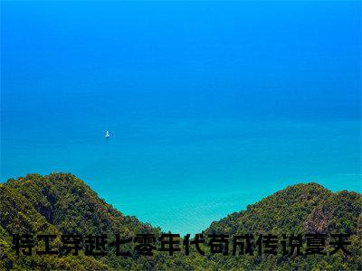 特工穿越七零年代苟成传说夏天小说全文阅读-特工穿越七零年代苟成传说夏天小说全文完整版免费阅读