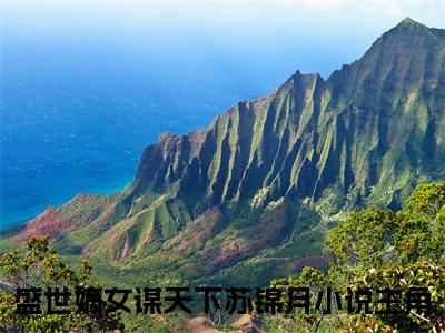 小说（盛世嫡女谋天下苏锦月）免费阅读-小说（盛世嫡女谋天下苏锦月）无弹窗大结局 盛世嫡女谋天下苏锦月全文在线赏析最新章节列表_笔趣阁