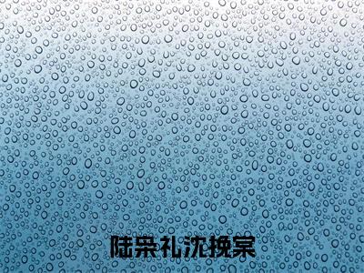 陆枭礼沈挽棠（陆枭礼沈挽棠）全文免费阅读无弹窗完整版_ (陆枭礼沈挽棠免费阅读全文)最新章节列表_笔趣阁（陆枭礼沈挽棠）