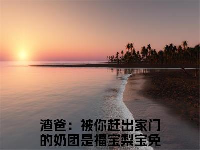 渣爸：被你赶出家门的奶团是福宝梨宝小说_渣爸：被你赶出家门的奶团是福宝梨宝全文阅读_小说免费阅读最新章节列表(渣爸：被你赶出家门的奶团是福宝梨宝)笔趣阁