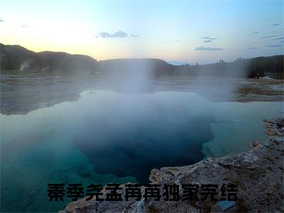 秦季尧孟苒苒全文免费阅读无弹窗-秦季尧孟苒苒小说最新章节列表