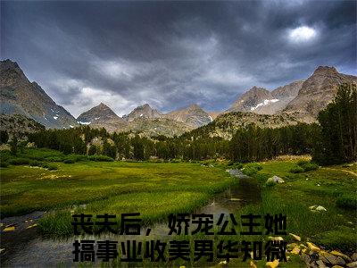 丧夫后，娇宠公主她搞事业收美男华知微书名是《丧夫后，娇宠公主她搞事业收美男华知微》在线赏析_丧夫后，娇宠公主她搞事业收美男华知微txt小说阅读_丧夫后，娇宠公主她搞事业收美男华知微在线阅读笔趣阁