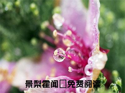 景梨霍闻璟在线全文免费阅读景梨霍闻璟是主角的小说