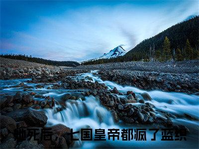 她死后，七国皇帝都疯了蓝织小说(她死后，七国皇帝都疯了蓝织)_全章节小说完整版阅读（她死后，七国皇帝都疯了蓝织）