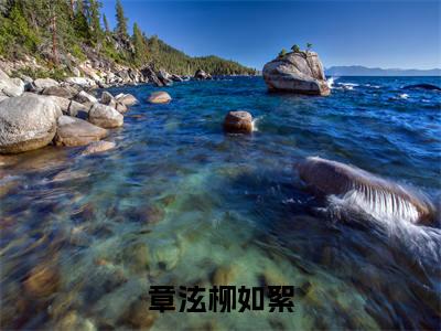 （章泫柳如絮）是什么小说_主角是（章泫柳如絮）的小说（章泫柳如絮）最新章节列表_笔趣阁