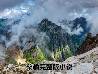 桑榆满分热推小说-磕cp被正主发现后，我被要挟了桑榆小说全本已完结