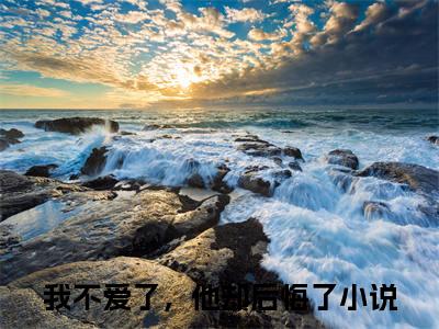 （邱言）我不爱了，他却后悔了小说推荐阅读-主角为我不爱了，他却后悔了的小说叫什么邱言