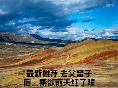 去父留子后，禁欲前夫红了眼小说（江迎沈宴迟）完整版大结局-江迎沈宴迟小说免费阅读