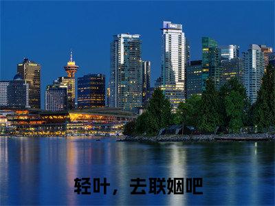 高赞小说靳丞苏轻叶（轻叶，去联姻吧）完结阅读_轻叶，去联姻吧靳丞苏轻叶免费看全文