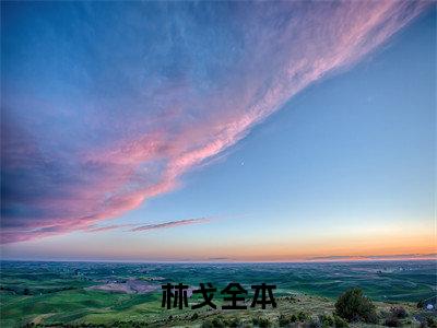 娱乐浪子（完整版）小说推荐-娱乐浪子热文小说林戈免费阅读全文