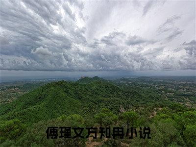 傅瑾文方知冉全文免费大结局-傅瑾文方知冉（傅瑾文方知冉）结局在线阅读