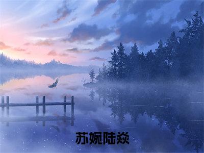 苏婉陆焱（苏婉陆焱）全文免费阅读无弹窗大结局_苏婉陆焱最新章节列表_笔趣阁（苏婉陆焱）