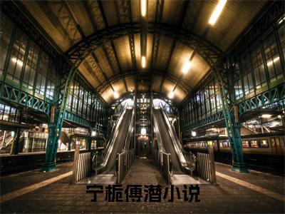 (番外)+(全文)宁栀傅潜全文+番外小说免费下载阅读宁栀傅潜全文+番外小说最新章节列表_笔趣阁（宁栀傅潜全文+番外）