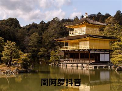 周阿萝全文免费阅读大结局-吃瓜系统：读我心声后全家HE了完整版无弹窗