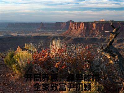 开局养崽，靠异能带全家致富尹初颖免费小说-开局养崽，靠异能带全家致富尹初颖全文阅读目录