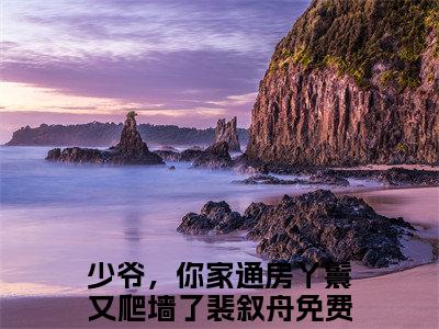 少爷，你家通房丫鬟又爬墙了裴叙舟（少爷，你家通房丫鬟又爬墙了裴叙舟无弹窗）全文免费阅读无弹窗大结局_少爷，你家通房丫鬟又爬墙了裴叙舟最新章节列表_笔趣阁（少爷，你家通房丫鬟又爬墙了裴叙舟无弹窗）